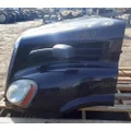 FREIGHTLINER Cascadia 113 Hood thumbnail 2