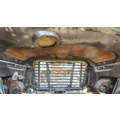 FREIGHTLINER Cascadia 113 Hood thumbnail 6
