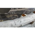 FREIGHTLINER Cascadia 113 Hood thumbnail 8