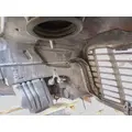 FREIGHTLINER Cascadia 113 Hood thumbnail 4
