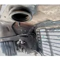 FREIGHTLINER Cascadia 113 Hood thumbnail 5