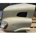 FREIGHTLINER Cascadia 113 Hood thumbnail 4