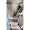 FREIGHTLINER Cascadia 113 Hood thumbnail 8