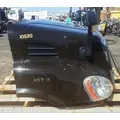 FREIGHTLINER Cascadia 113 Hood thumbnail 4