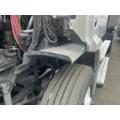 FREIGHTLINER Cascadia 113 Inner Fender thumbnail 1