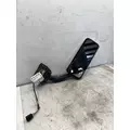FREIGHTLINER Cascadia 113 Mirror (Side View) thumbnail 1