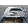 FREIGHTLINER Cascadia 116 Day Cab Door Assembly, Front thumbnail 3