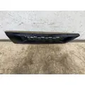 FREIGHTLINER Cascadia 116 Body Parts, Misc. thumbnail 5