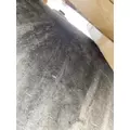 FREIGHTLINER Cascadia 116 Fuel Tank thumbnail 7