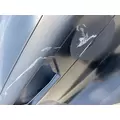 FREIGHTLINER Cascadia 116 Hood thumbnail 14