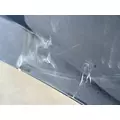 FREIGHTLINER Cascadia 116 Hood thumbnail 16