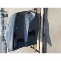 FREIGHTLINER Cascadia 116 Hood thumbnail 5