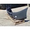 FREIGHTLINER Cascadia 125 Bumper Assembly, Front thumbnail 3
