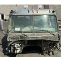 FREIGHTLINER Cascadia 125 Cab Assembly thumbnail 1