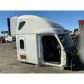FREIGHTLINER Cascadia 125 Cab Assembly thumbnail 3