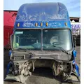 FREIGHTLINER Cascadia 125 Cab Assembly thumbnail 1
