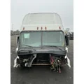 FREIGHTLINER Cascadia 125 Cab Assembly thumbnail 2