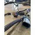 FREIGHTLINER Cascadia 125 Chassis Wiring Harness thumbnail 10