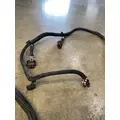 FREIGHTLINER Cascadia 125 Chassis Wiring Harness thumbnail 13