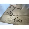 FREIGHTLINER Cascadia 125 Chassis Wiring Harness thumbnail 4