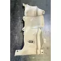 FREIGHTLINER Cascadia 125 Cowl thumbnail 2
