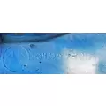 FREIGHTLINER Cascadia 125 Cowl thumbnail 4