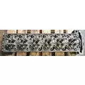 FREIGHTLINER Cascadia 125 Cylinder Head thumbnail 6