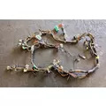 FREIGHTLINER Cascadia 125 Dash Wiring Harness thumbnail 2