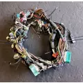 FREIGHTLINER Cascadia 125 Dash Wiring Harness thumbnail 3
