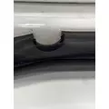 FREIGHTLINER Cascadia 125 Door Assembly, Front thumbnail 13