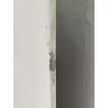 FREIGHTLINER Cascadia 125 Door Assembly, Front thumbnail 15