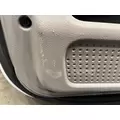 FREIGHTLINER Cascadia 125 Door Assembly, Front thumbnail 11