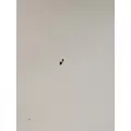 FREIGHTLINER Cascadia 125 Door Assembly, Front thumbnail 15