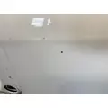 FREIGHTLINER Cascadia 125 Door Assembly, Front thumbnail 17