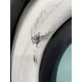 FREIGHTLINER Cascadia 125 Door Assembly, Front thumbnail 11