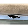 FREIGHTLINER Cascadia 125 Door Assembly, Front thumbnail 13