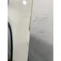 FREIGHTLINER Cascadia 125 Door Assembly, Front thumbnail 15