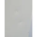 FREIGHTLINER Cascadia 125 Door Assembly, Front thumbnail 11