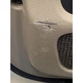 FREIGHTLINER Cascadia 125 Door Assembly, Front thumbnail 11