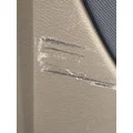 FREIGHTLINER Cascadia 125 Door Assembly, Front thumbnail 12