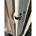 FREIGHTLINER Cascadia 125 Door Assembly, Front thumbnail 4