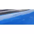 FREIGHTLINER Cascadia 125 Door Assembly, Front thumbnail 5