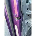 FREIGHTLINER Cascadia 125 Door Assembly, Front thumbnail 4