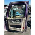 FREIGHTLINER Cascadia 125 Door Assembly, Front thumbnail 2