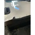 FREIGHTLINER Cascadia 125 Door Assembly, Front thumbnail 5