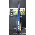 FREIGHTLINER Cascadia 125 Door Assembly, Front thumbnail 4