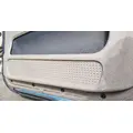 FREIGHTLINER Cascadia 125 Door Assembly, Front thumbnail 4