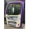 FREIGHTLINER Cascadia 125 Door Assembly, Front thumbnail 2
