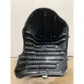 FREIGHTLINER Cascadia 125 Fender Extension thumbnail 3