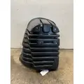 FREIGHTLINER Cascadia 125 Fender Extension thumbnail 1